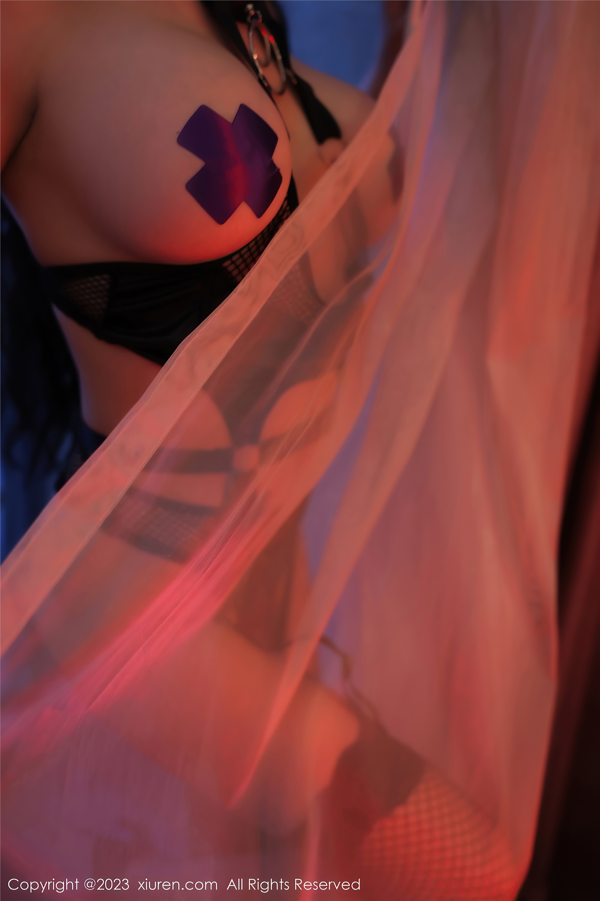 Xiuren秀人网 2023.08.10 NO.7207 田冰冰